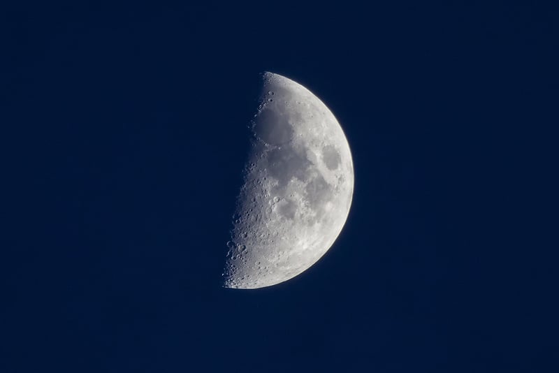 Lunar Logistics